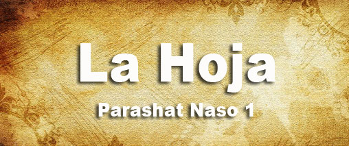 First slide